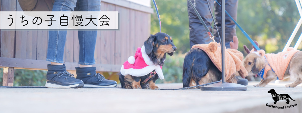 うちの子自慢大会