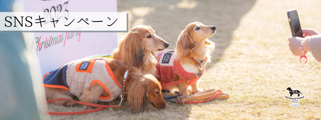 SNSキャンペーン@大阪北港マリーナ