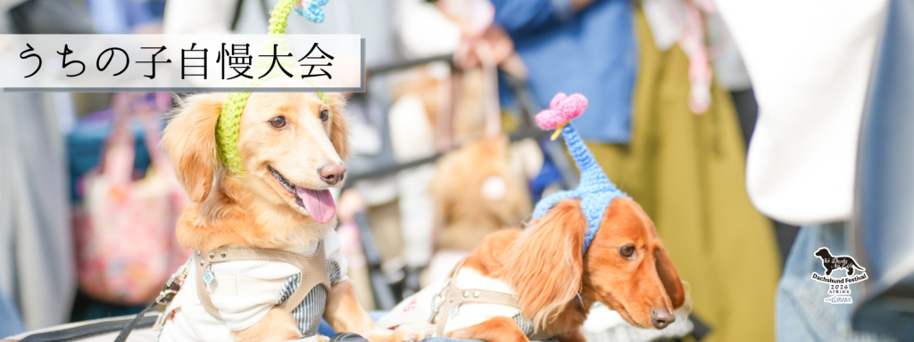 うちの子自慢大会@大阪北港マリーナ