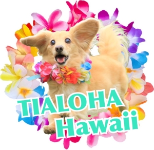 TIALOHA Hawaii