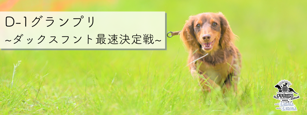 D-1グランプリ – ダックスフント最速決定戦 –