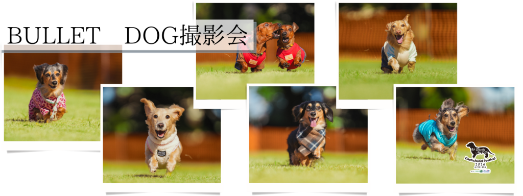 BULLET DOG撮影会
