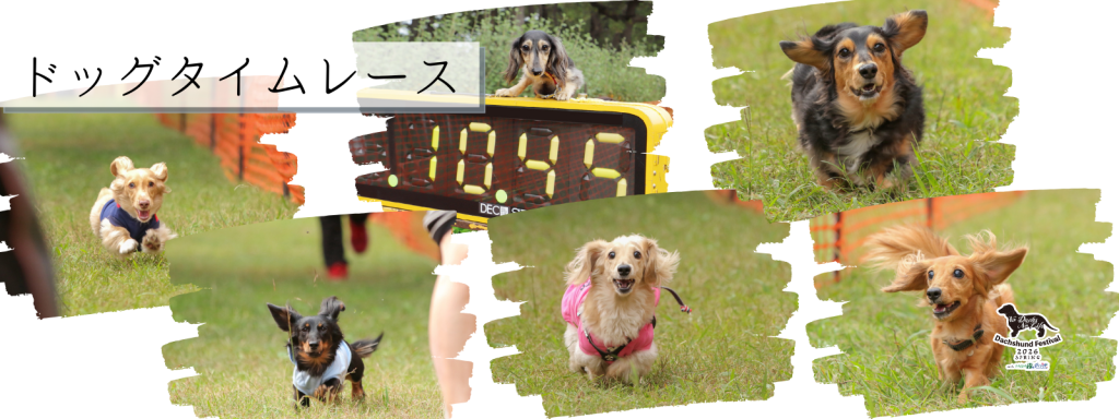 ドッグタイムレース