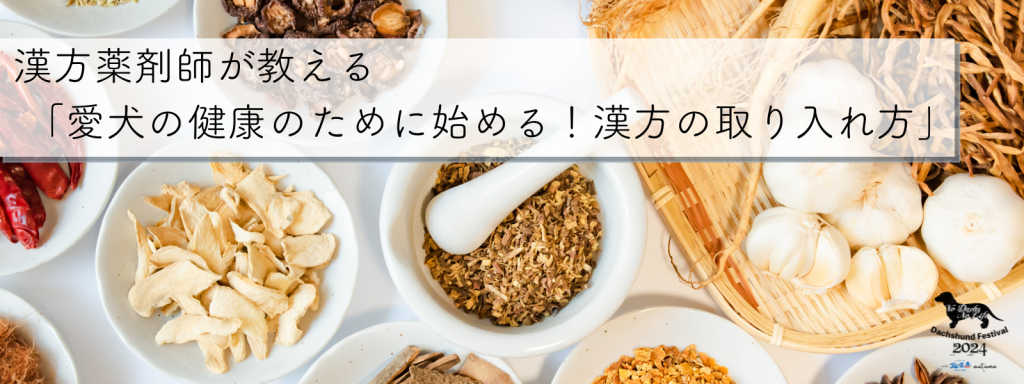 漢方薬剤師が教える 「愛犬の健康のために始める！漢方の取り入れ方」