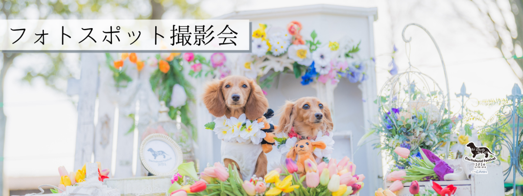 フォトスポット撮影会