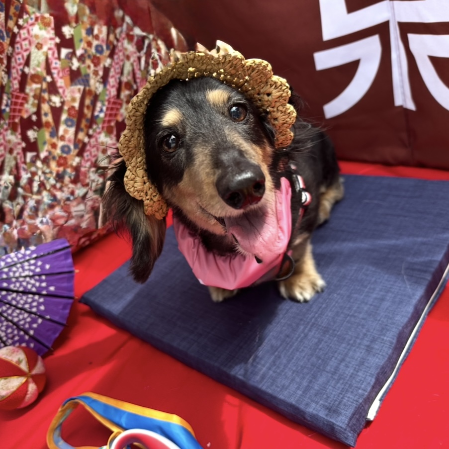 ちろるちゃん