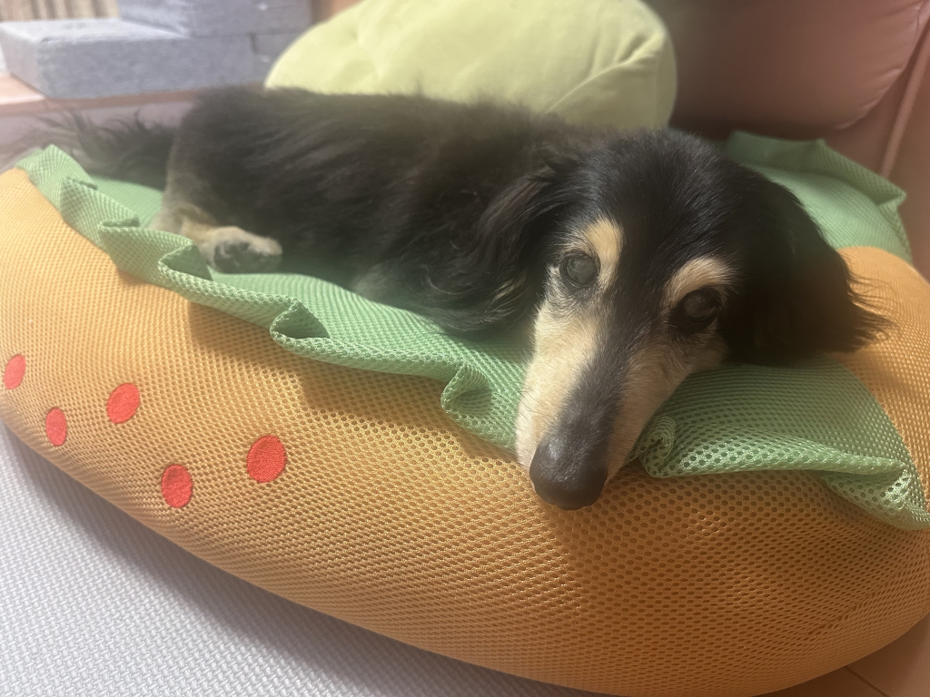 DAI☆彡くん