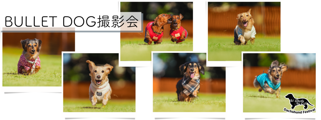BULLET DOG撮影会