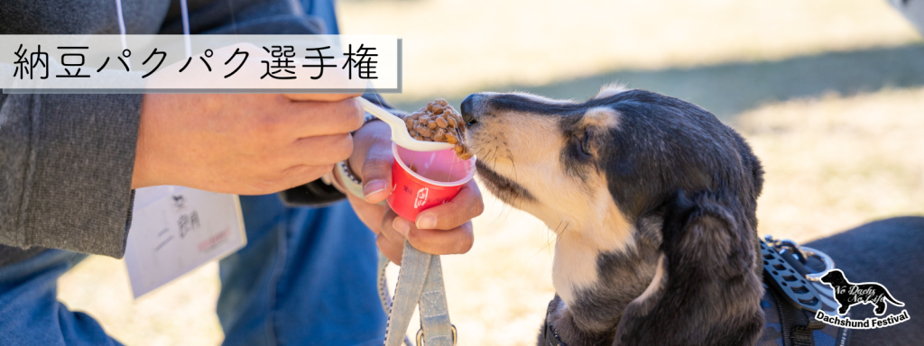 納豆パクパク選手権