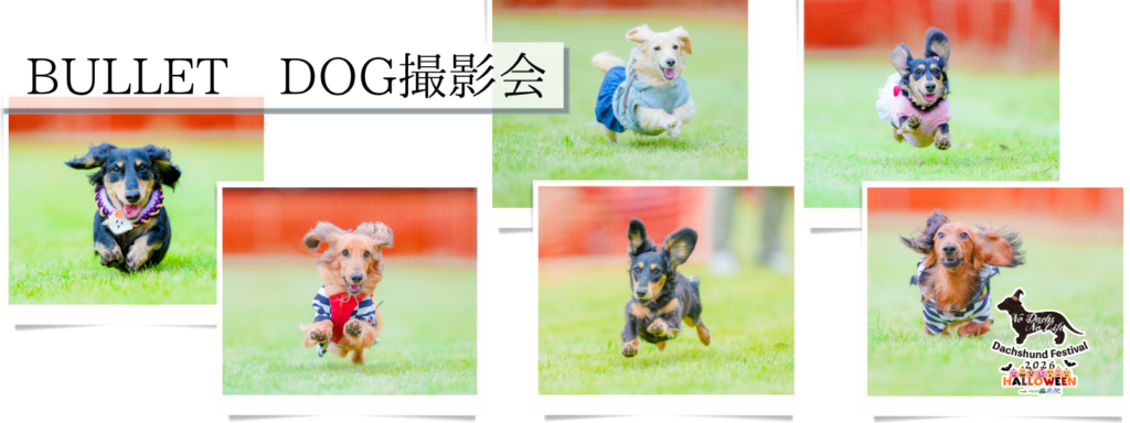 BULLET DOG撮影会
