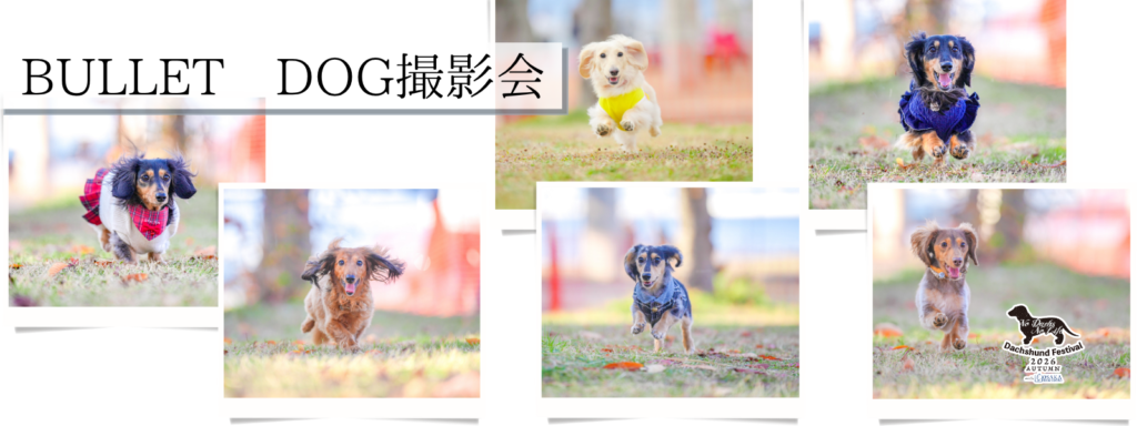 BULLET DOG撮影会@大阪北港マリーナ