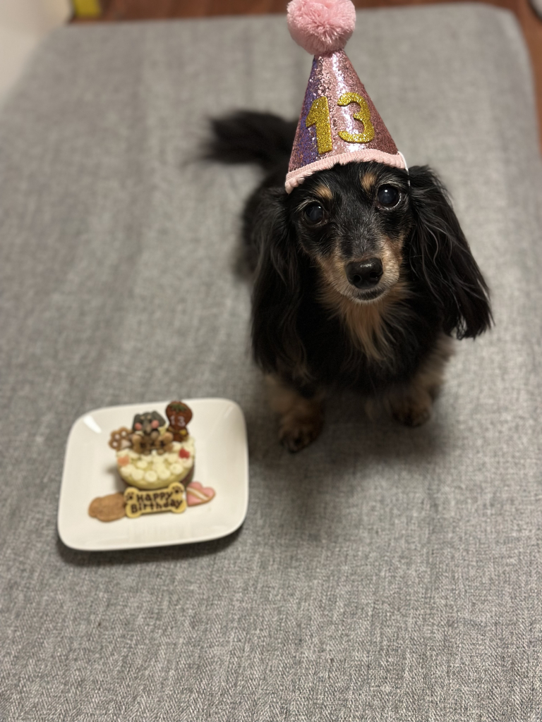 ヒメ子ちゃん