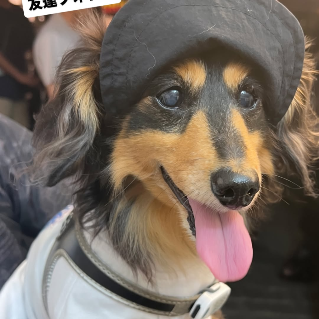 けんくん
