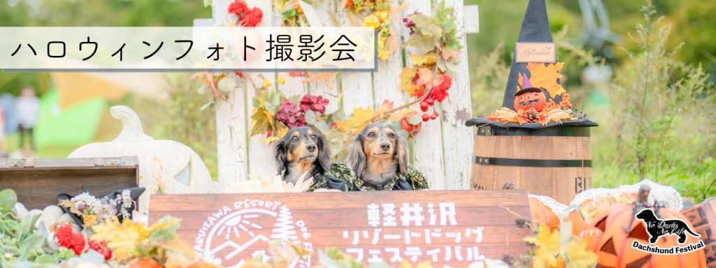 ハロウィンフォト撮影会