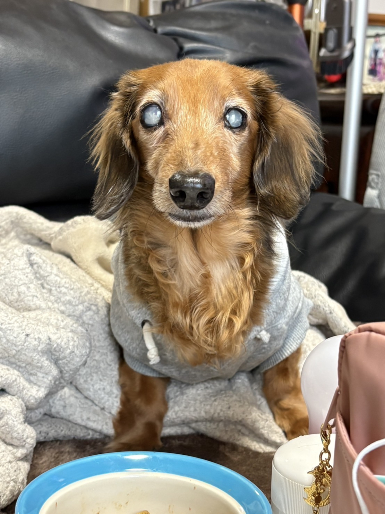 グリュックくん