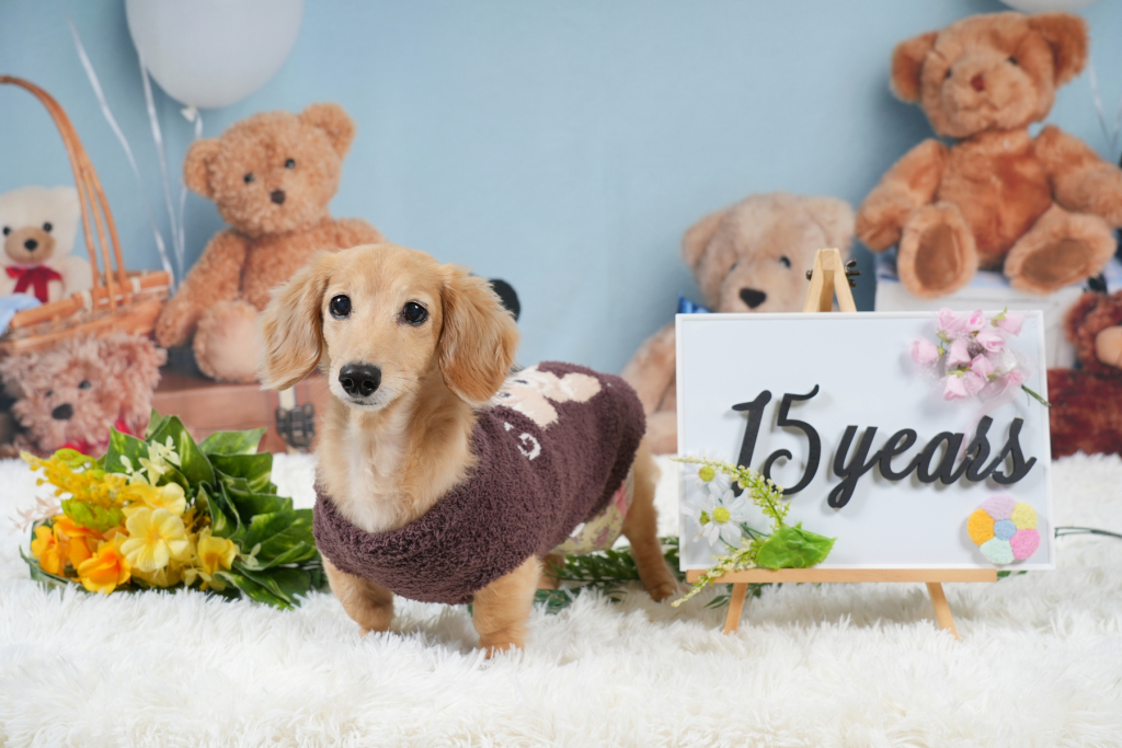 フローラちゃん