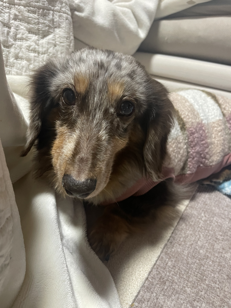 kate(ケイト)ちゃん