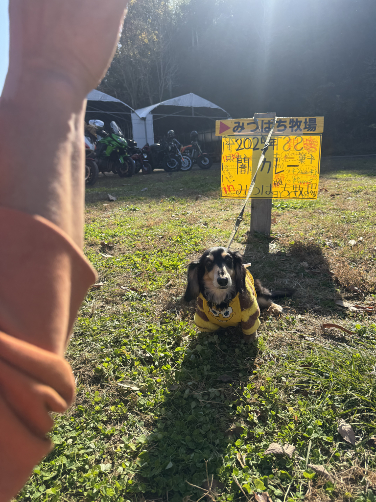 胡桃（くるみ）ちゃん