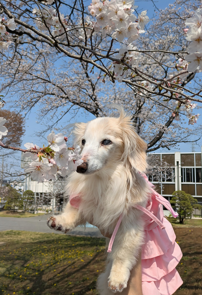 ゆずちゃん