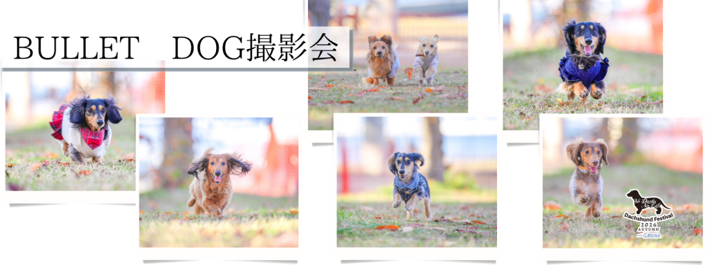 BULLET DOG撮影会@大阪北港マリーナ