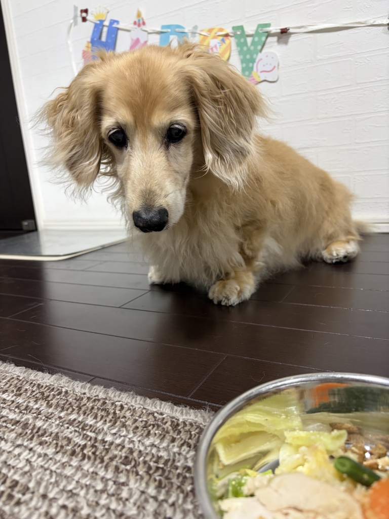 ちびくん