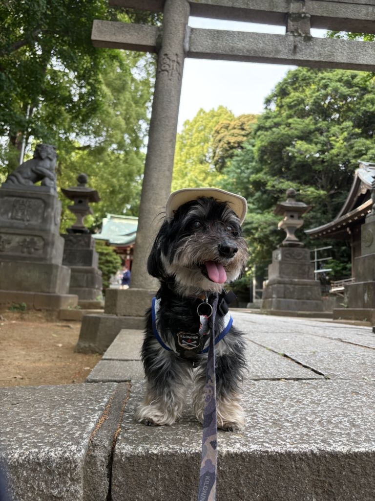 風太くん