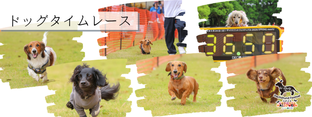 ドッグタイムレース