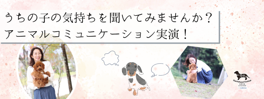 うちの子の気持ちを聞いてみませんか？アニマルコミュニケーション実演！